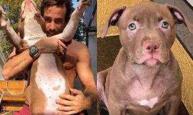 Após morte de Buda, Gabriela Pugliesi adota nova cadela com mesma marca de coração. Foto: Instagram