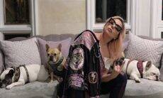Lady Gaga oferece recompensa de R$ 2,7 milhões para quem encontrar seus cães roubados