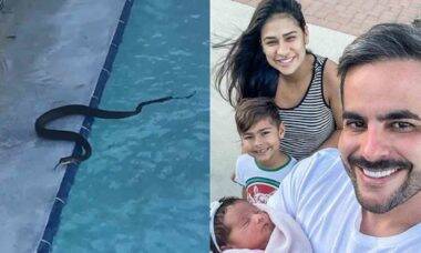 Kaká Diniz, marido de Simone, flagra cobra na piscina da mansão nos EUA
