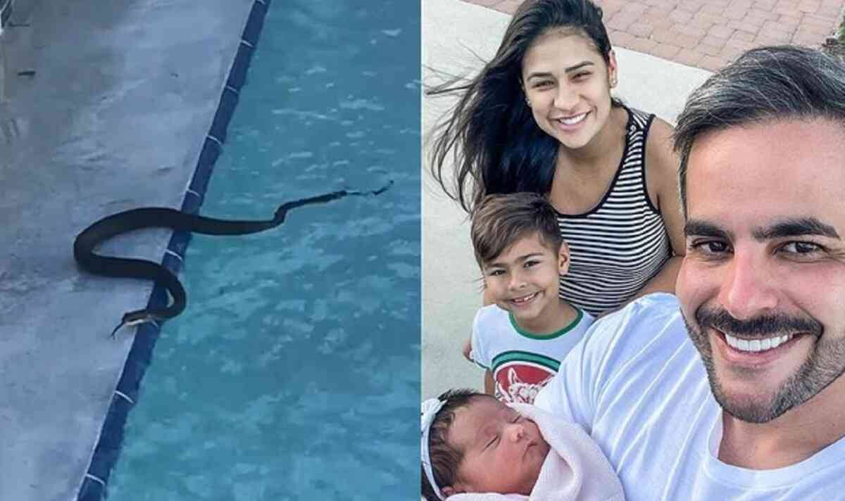 Kaká Diniz, marido de Simone, flagra cobra na piscina da mansão nos EUA 