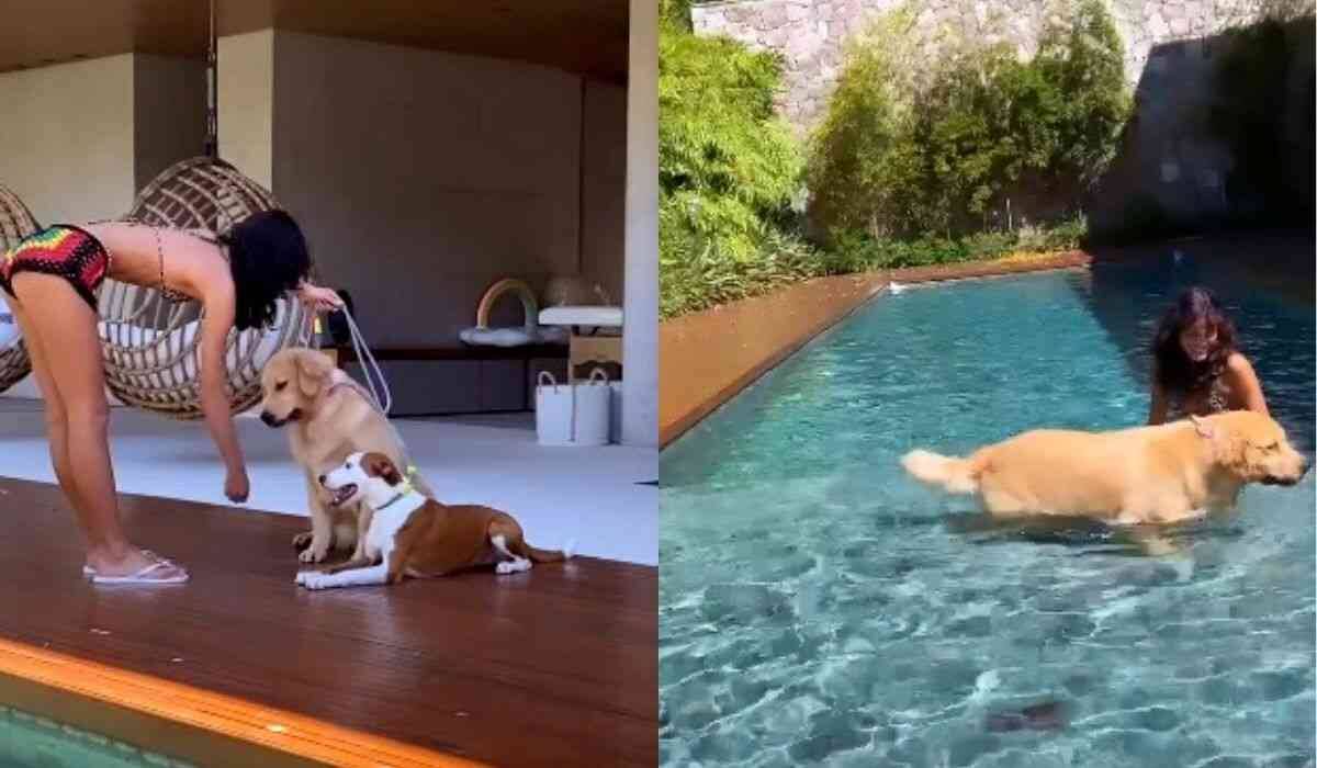 Bruna Marquezine curte dia de sol e brinca com seus cachorros na piscina