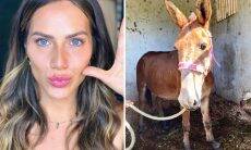 Giovanna Ewbank adota burro que sofria maus-tratos: "Seja bem-vindo"
