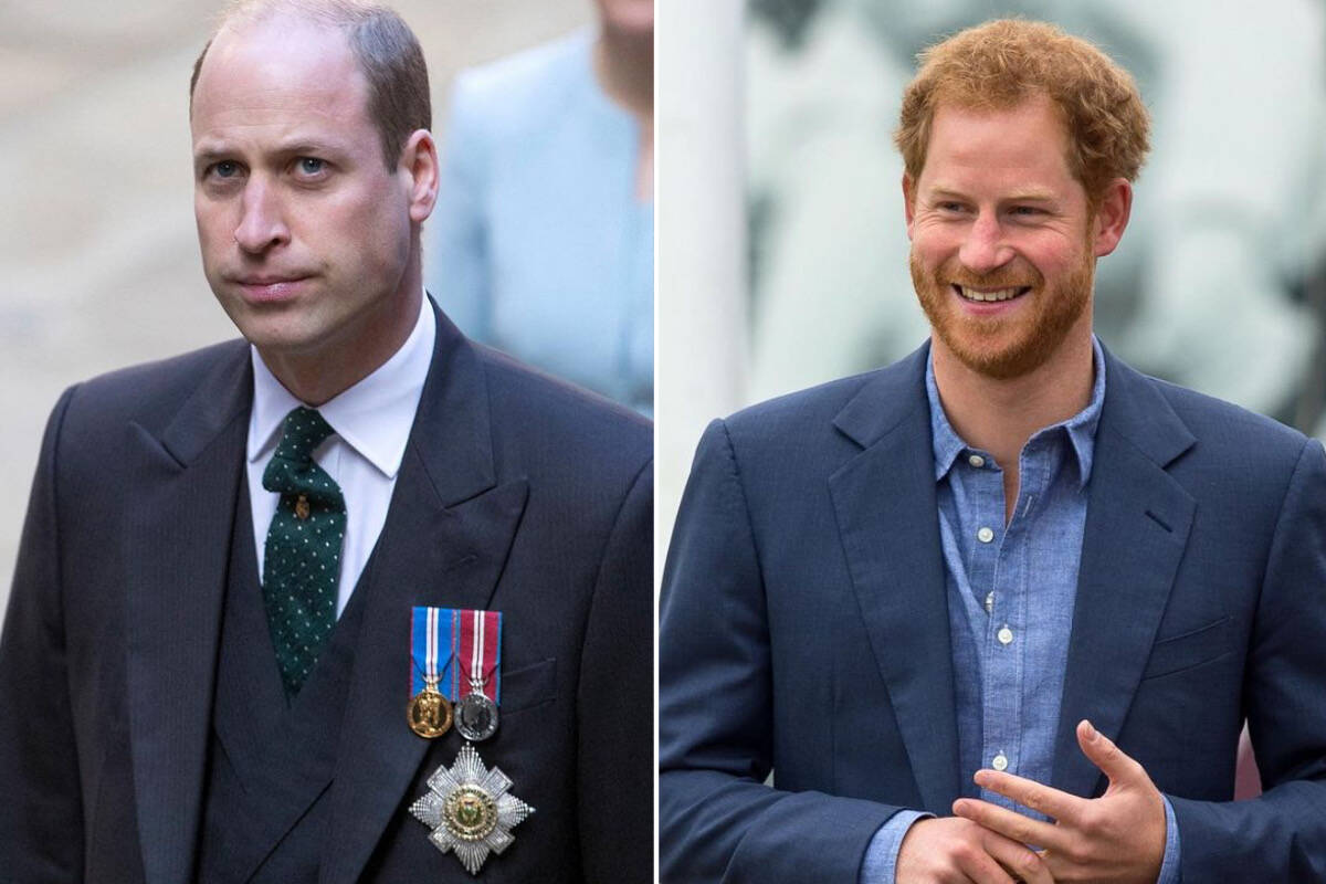Príncipe William estaria preocupado com mais revelações de Harry, diz site