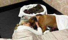 Ana Hickmann passa a noite ao lado de cachorra que pariu 17 filhotes: 'criar por amor'