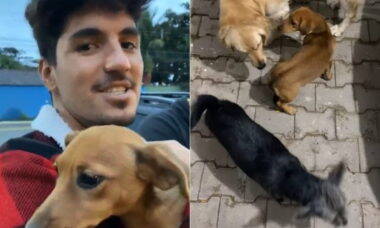 Gabriel Medina e Yasmin Brunet adotam duas cachorrinhas