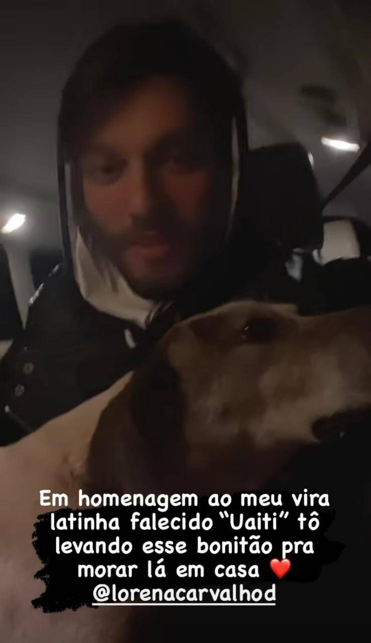 Lucas Lucco adota cachorro de rua e brinca com esposa: 'não me mata' (Foto: Reprodução/Instagram)