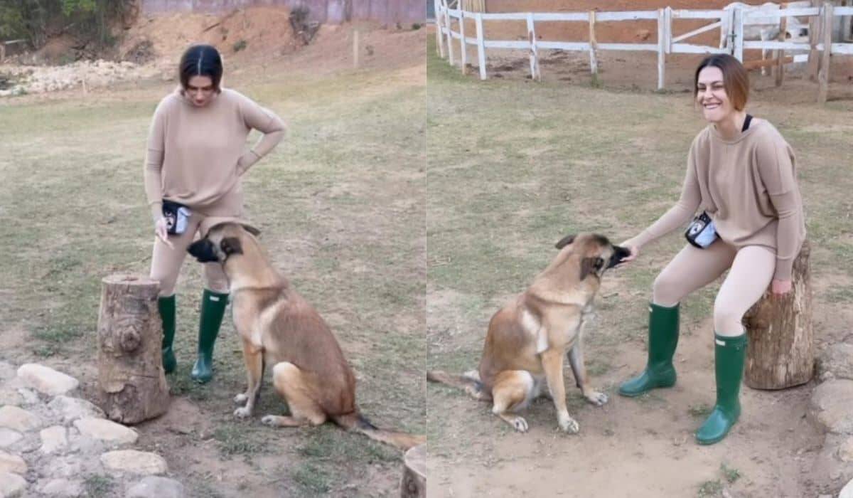 Cleo mostra adestramento de cachorro que adotou com o marido