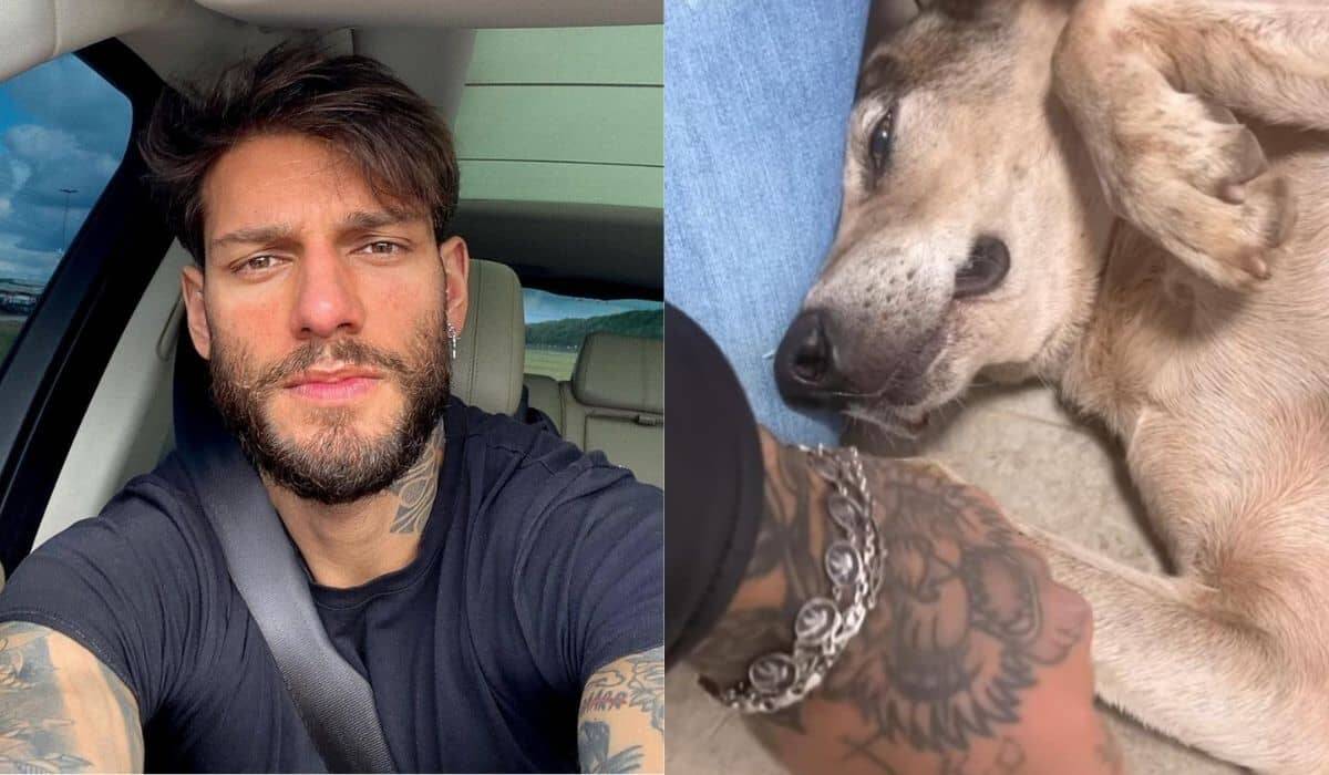 Lucas Lucco adota cachorro de rua e brinca com esposa: 'não me mata'