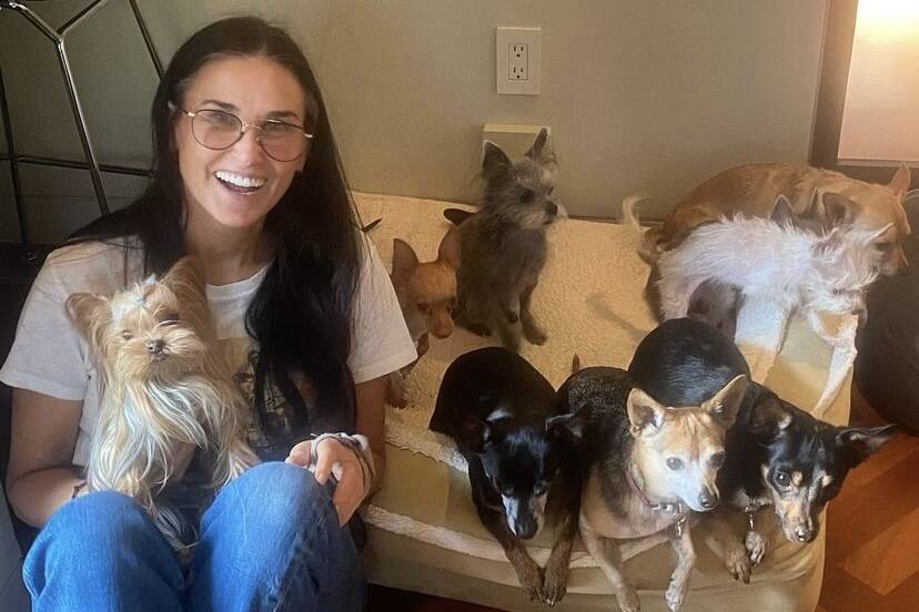 Demi Moore posta foto ao lado dos nove cães e encanta os fãs