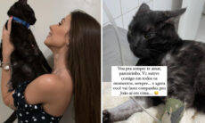Maria Lina lamenta morte do gato de estimação: "Vai fazer companhia pro João aí em cima"