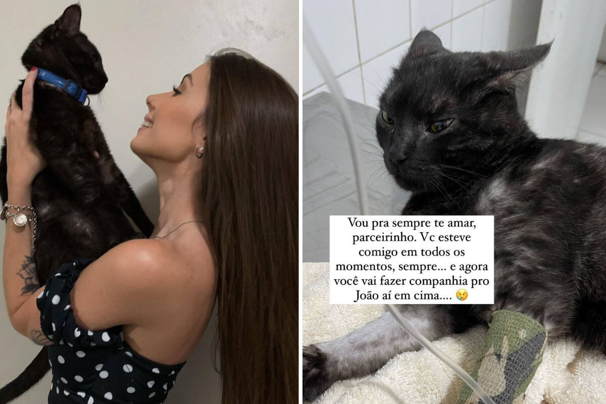 Maria Lina lamenta morte do gato de estimação: "Vai fazer companhia pro João aí em cima"